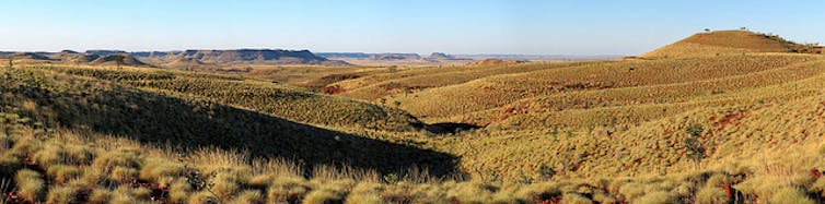 Spinifex grass would like us to stop putting out bushfires, please