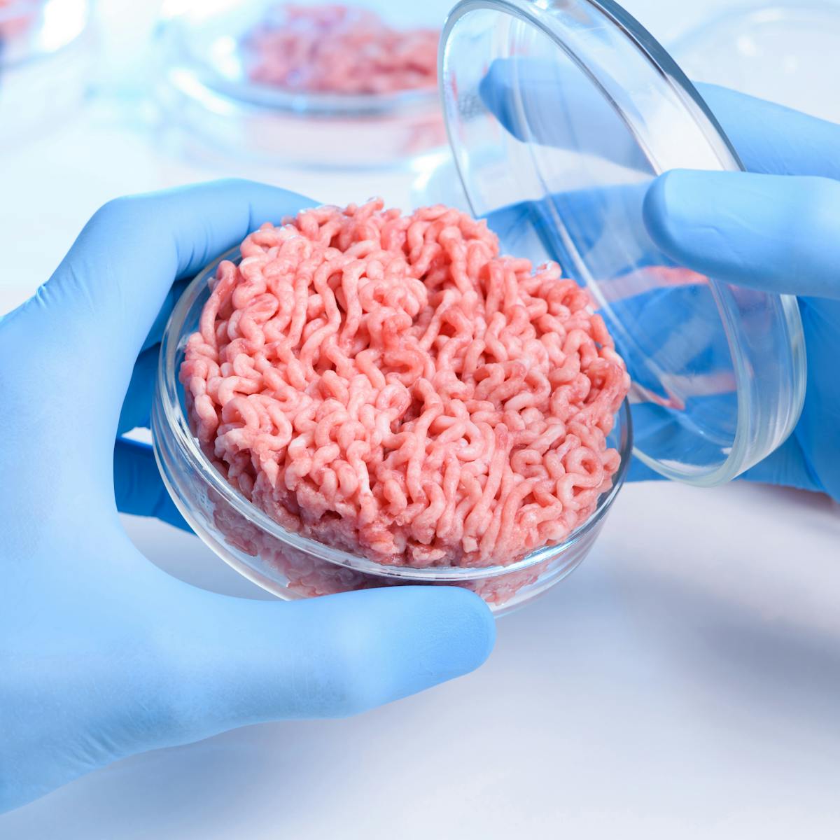Meat Grown From Cells Companies Clamour To Put It On Your Plate Meat Grown From Cells Companies Clamour To Put It On Your Plate