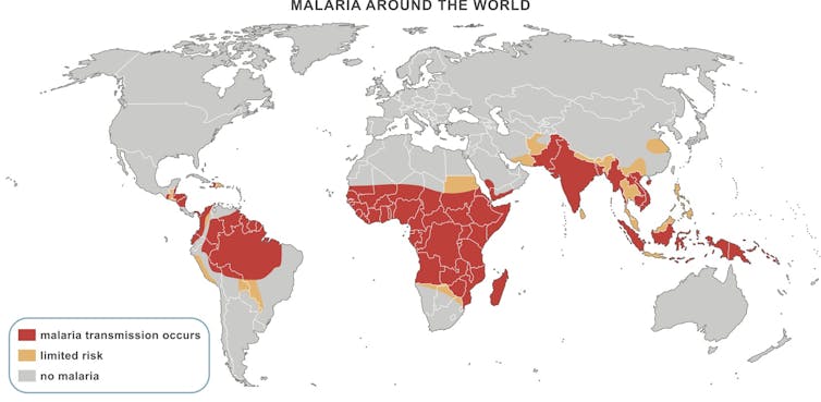 A vaccine that could block mosquitoes from transmitting malaria