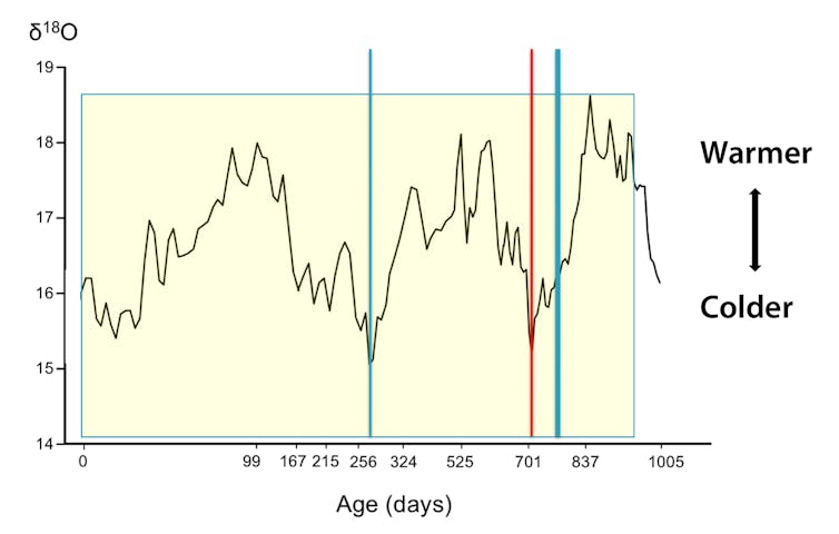 What teeth can tell about the lives and environments of ancient humans and Neanderthals