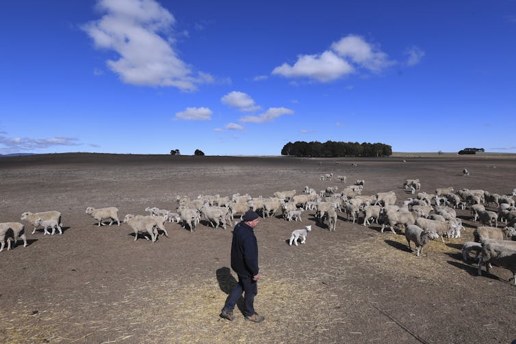 Better data would help crack the drought insurance problem