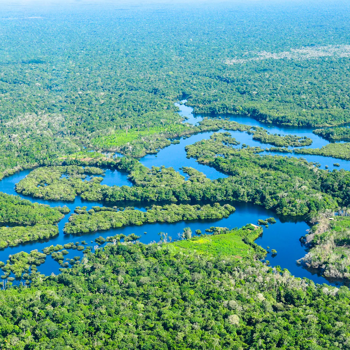 Earth's wilderness is vanishing, and just a handful of nations can save it