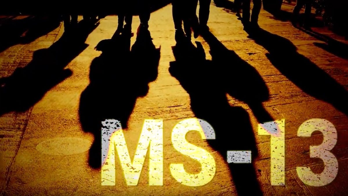 Republican ads feature MS-13, hoping fear will motivate voters