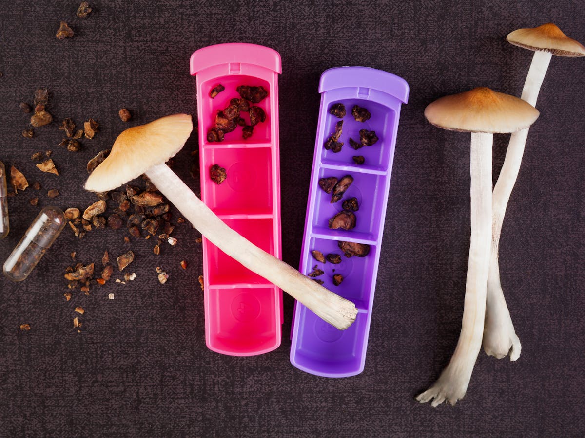 Microdosers Of Lsd And Magic Mushrooms Are Wiser And More Creative