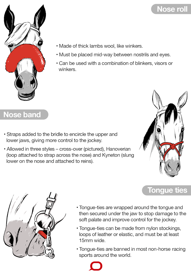 Dressing up for Melbourne Cup Day, from a racehorse point of view