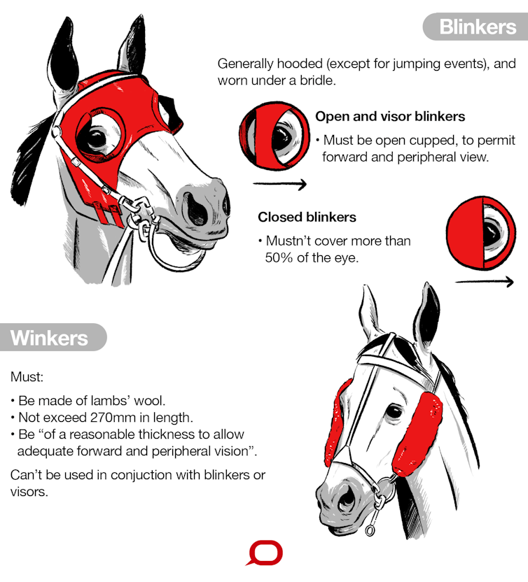 race horse blinders