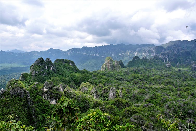 is the world's oldest rock art in Southeast Asia?