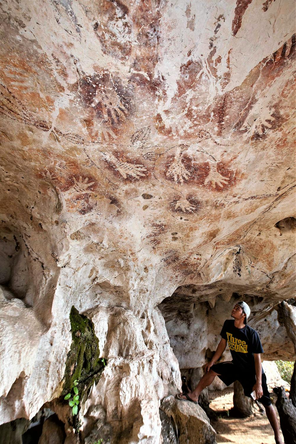 Temuan gua Borneo apakah gambar cadas tertua di dunia di 