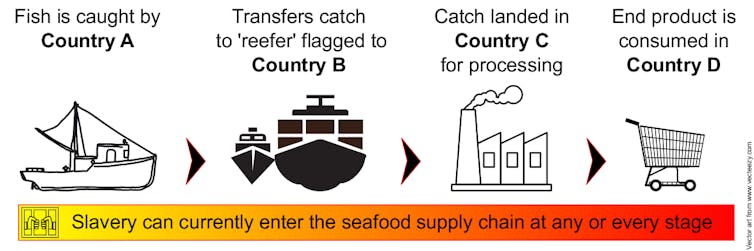How to keep slave-caught seafood off your plate