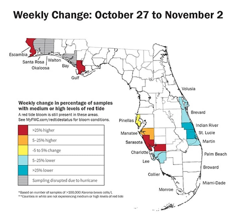 Hurricane Michael failed to break up the red tide outbreak along Florida’s west coast