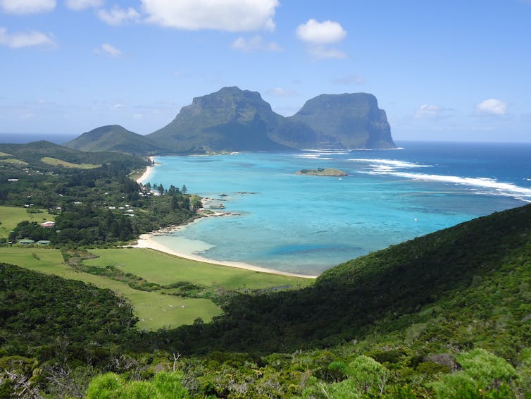 How we wiped out the invasive African big-headed ant from Lord Howe Island