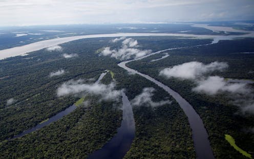 La Proteccion Estricta Del Amazonas Fomenta La Productividad Agricola En Brasil