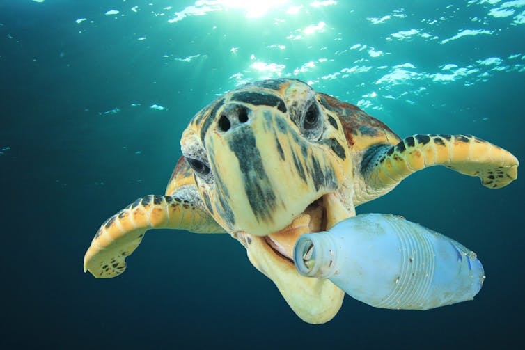 The world's plastic problem is bigger than the ocean