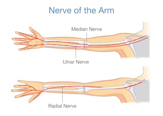 Download Pins And Needles Are Usually Harmless But It S Best Not To Ignore Desktop Wallpaper Free Get Wallpaper Pins And Needles Are Usually Harmless But It S Best Not To Ignore Free