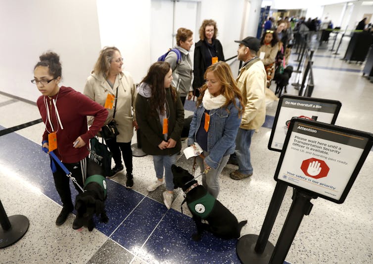 Flying with emotional support animals: The ups and downs of life in coach