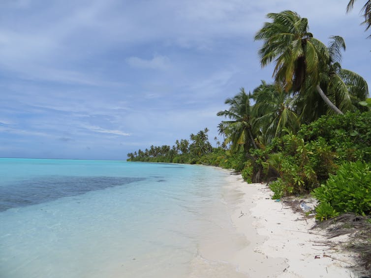maldives climate change case study
