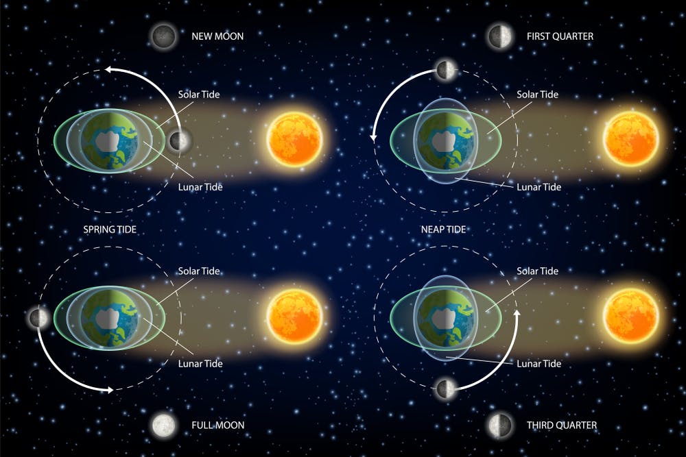 Curious Kids How Does The Moon Being So Far Away Affect The Tides On Earth Curious Kids How Does The Moon Being So Far Away Affect The Tides On Earth