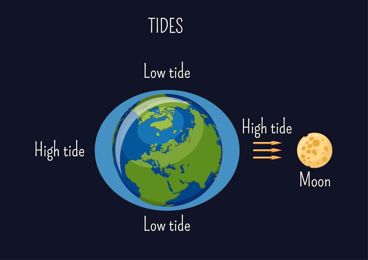 How does the Moon, being so far away, affect the tides on Earth?
