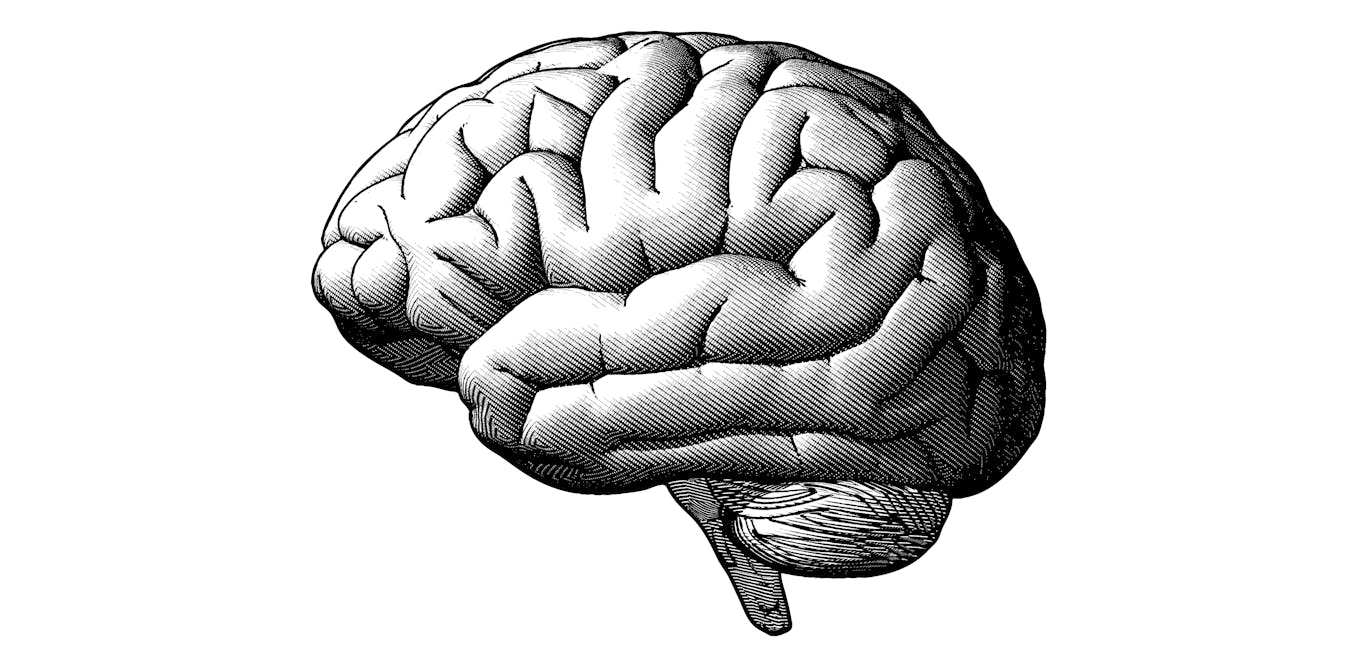 Extreme male brain theory of autism confirmed in large new study – and no, it doesn't mean autistic people lack empathy or are more 'male'