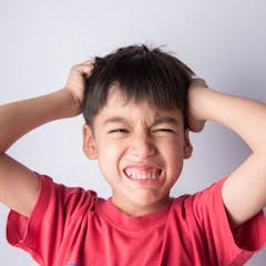 Head Lice Berita Riset Dan Analisis The Conversation Laman 1