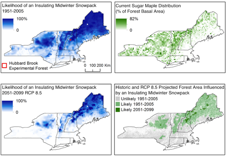 4 panel graphic of 4 maps illustrating historical and projected changes in spatial extent of insulating winter snowpack in the northeastern U.S., and the distribution of sugar maple trees and forest area influenced by insulating winter snowpack.