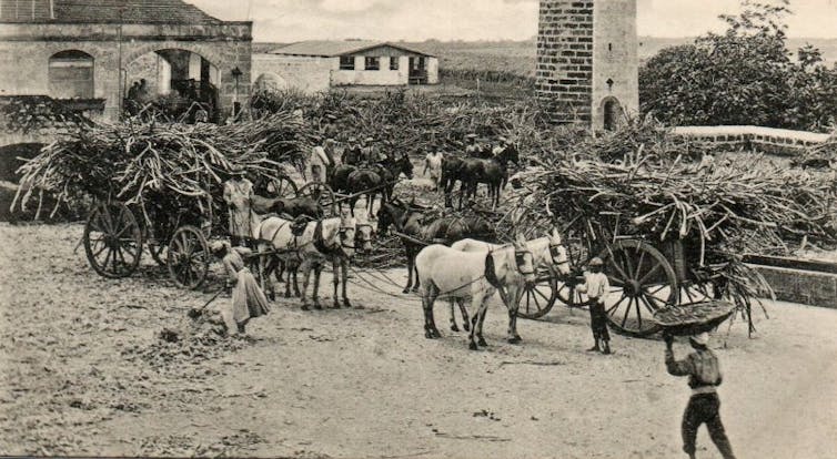 Barbados was ground zero for racism and slavery but due to the resilience of the islanders, it is a model country of democracy.