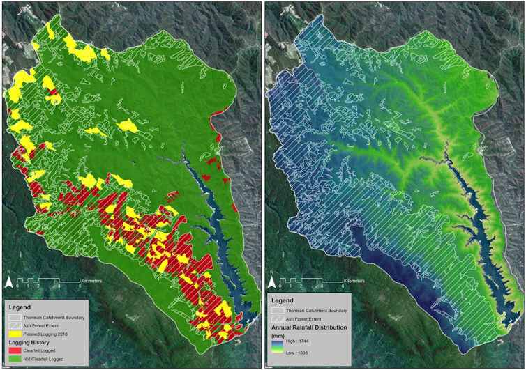 Logging must stop in Melbourne's biggest water supply catchment