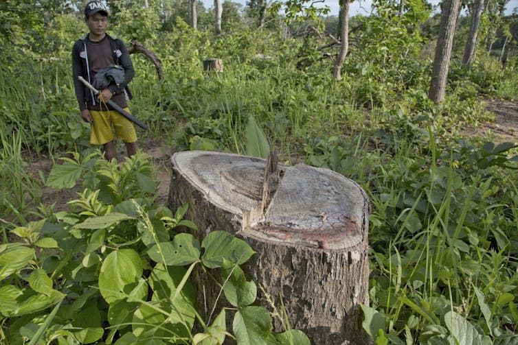 File 20181114 194506 1s9jt5r.jpg?ixlib=rb 1.1