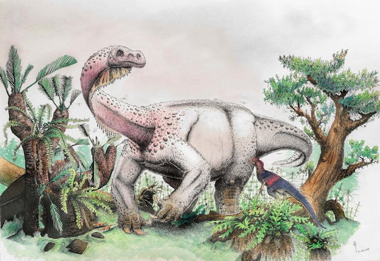 RENDITION. The dinosaur Ledumahadi mafube, reconstructed in this illustration - made headlines in 2018. Viktor Radermacher