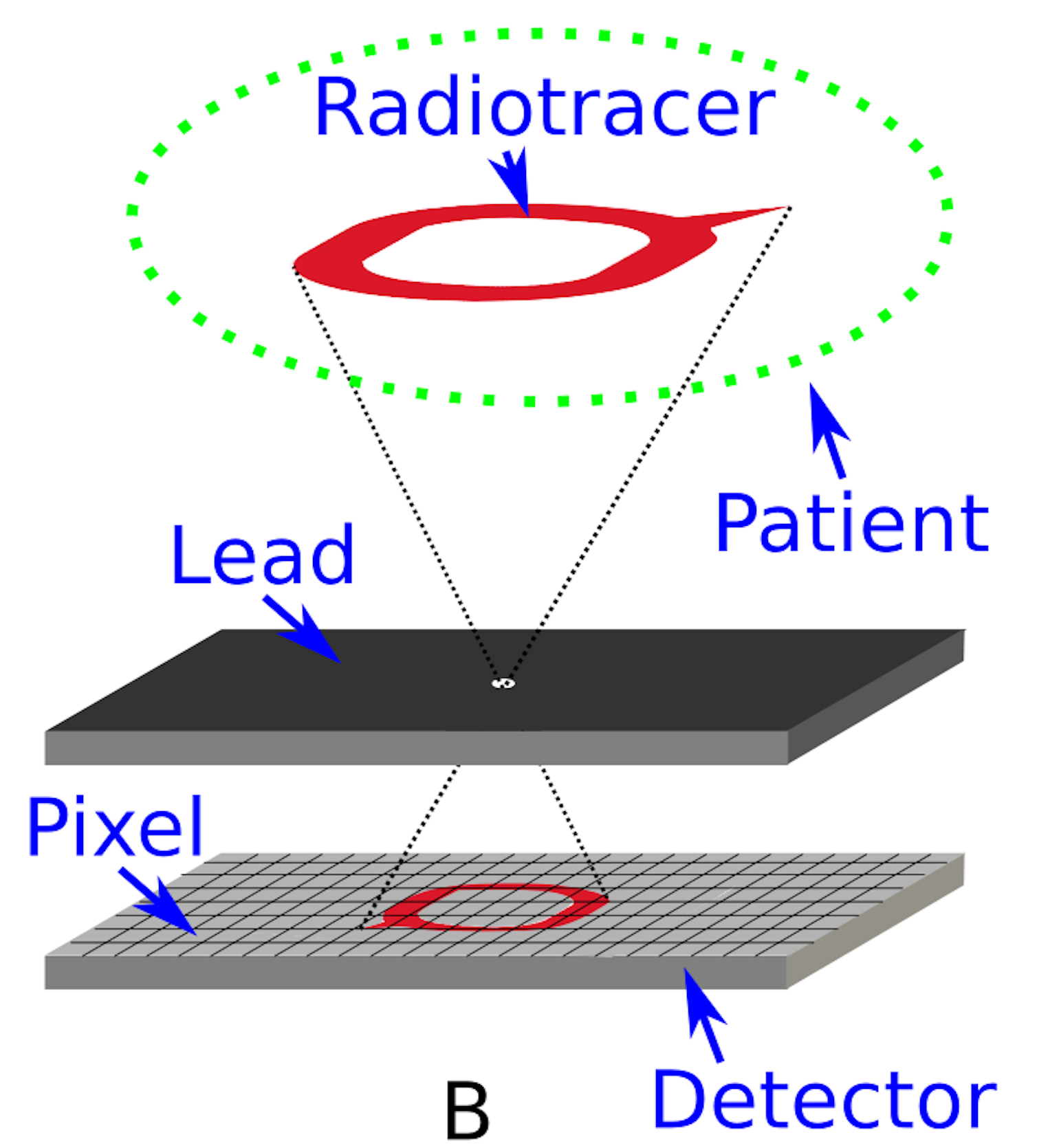 The science of medical imaging: SPECT and PET