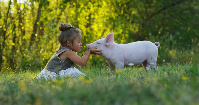 Why people become vegans: The history, sex and science of a meatless existence