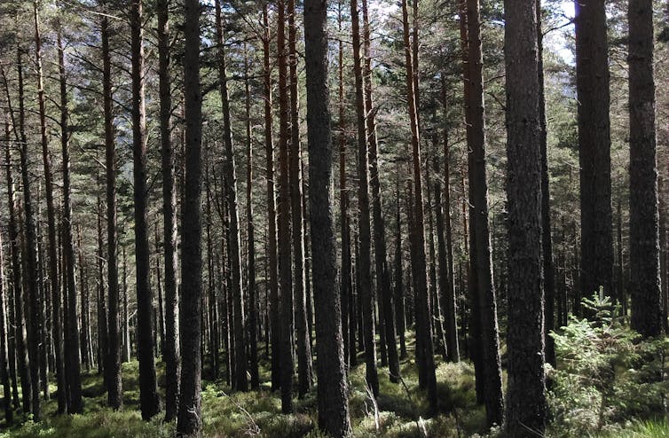 File 20181116 194519 cqza7e.jpg?ixlib=rb 1.1