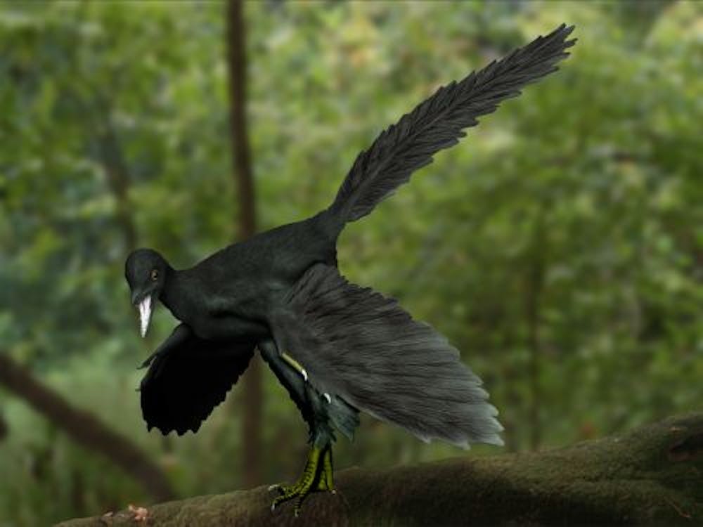 Pterodactyls Could Fly From Birth - intoBirds