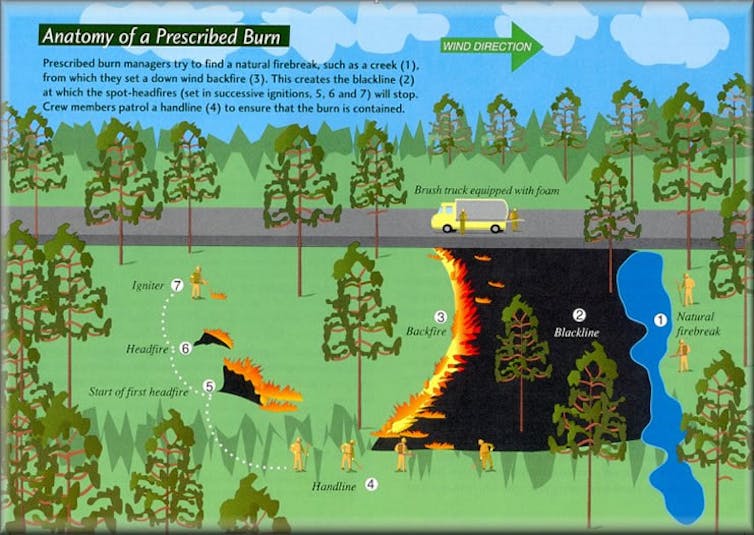 Better forest management won't end wildfires, but it can reduce the risks – here's how