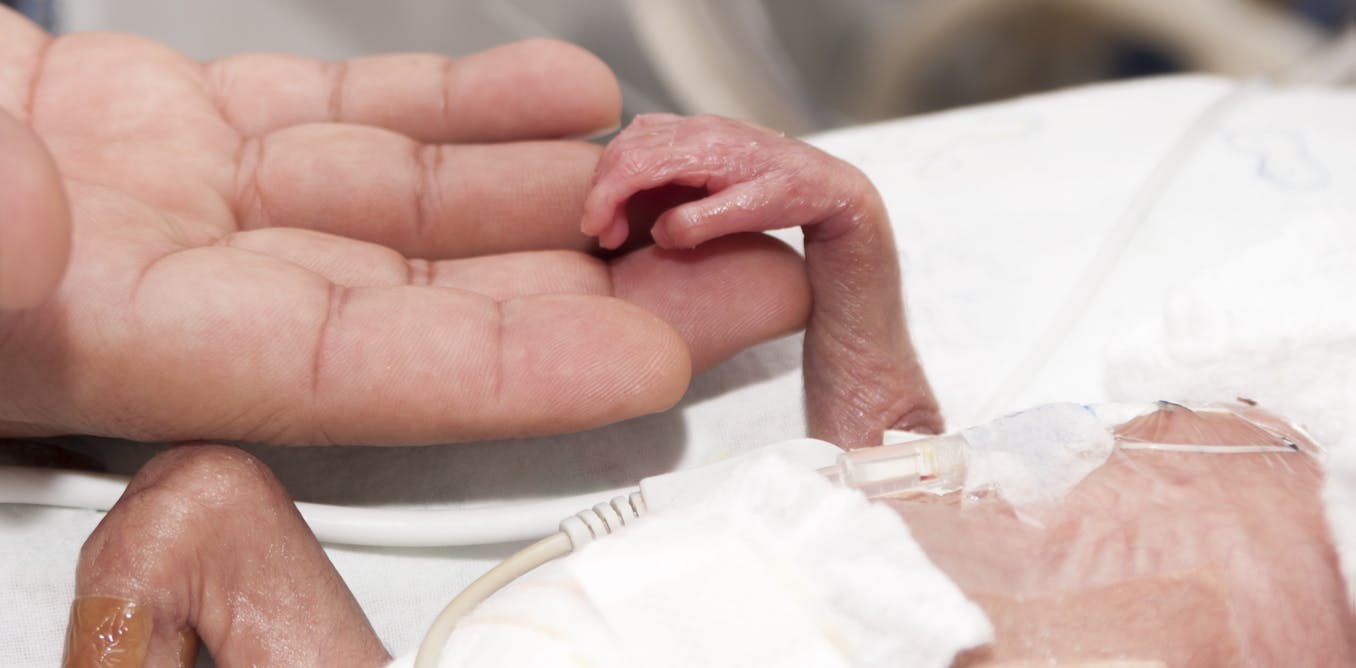 Fresh urgency in mapping out ethics of brain organoid research