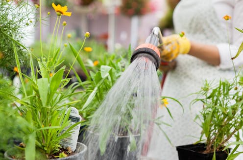 City water restrictions hurt our most vulnerable – especially women