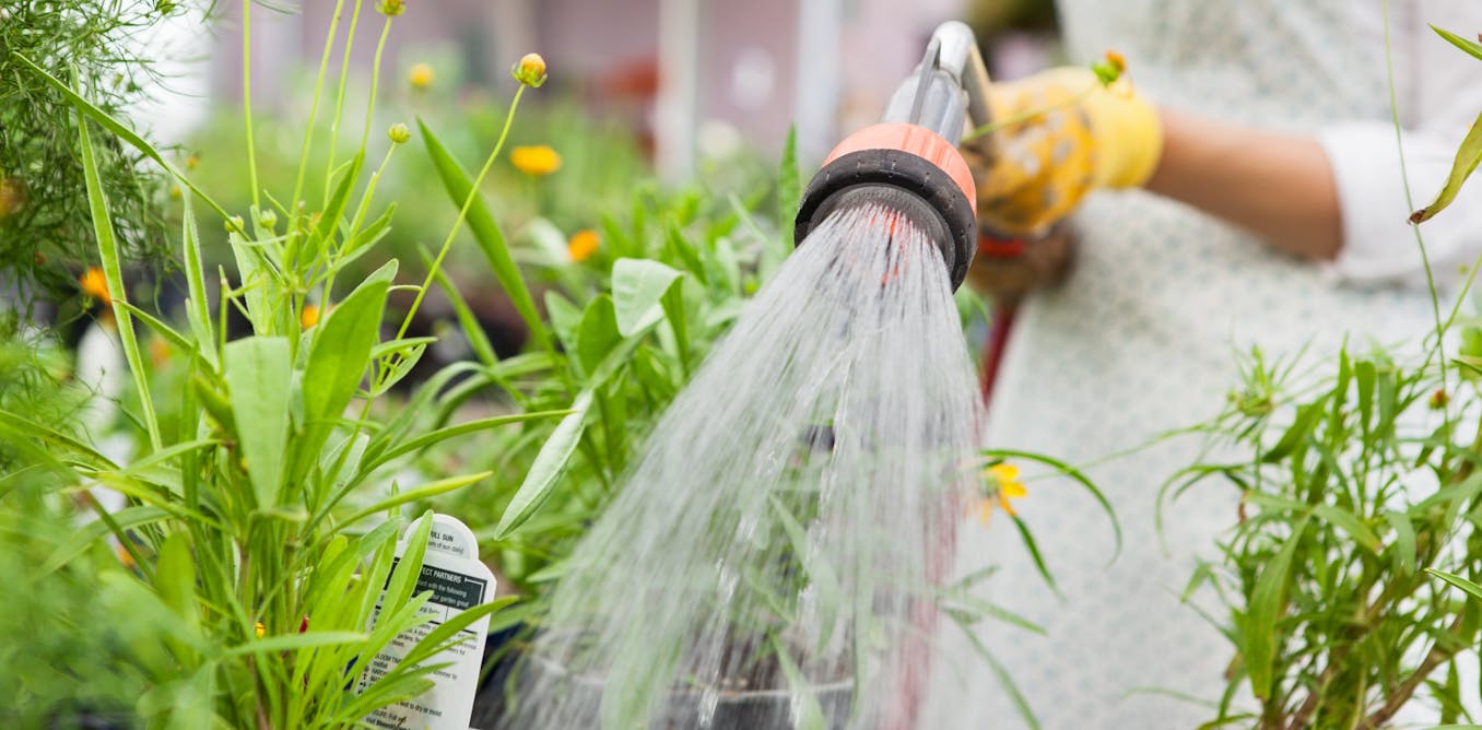 City water restrictions hurt our most vulnerable – especially women