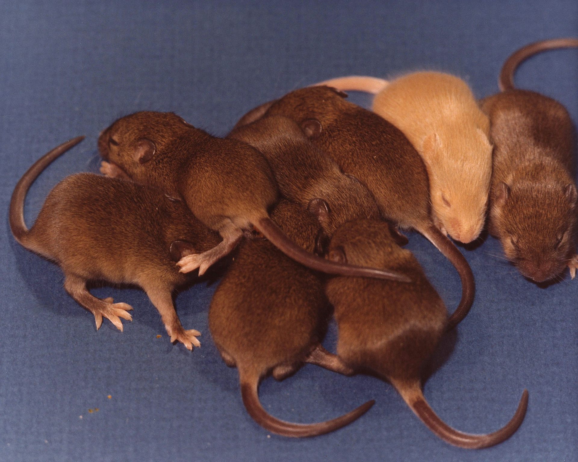 Individus, qui êtes-vous