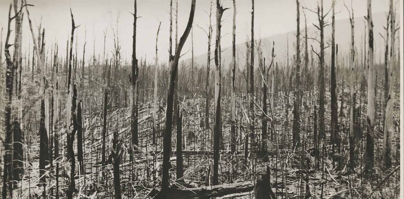 Why Australian retailers should respect the past and rename their 'Black Friday' sales