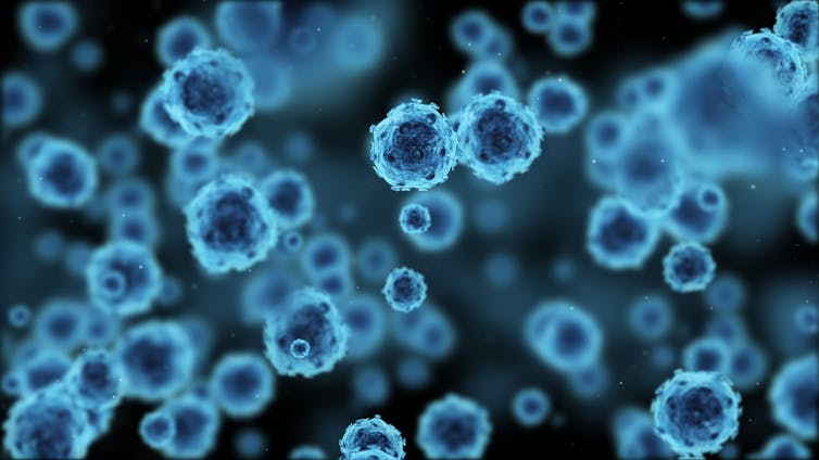 Alzhéimer, párkinson, ELA… ¿Y si los culpables son microbios? Alzhéimer, párkinson, ELA… ¿Y si los culpables son microbios?