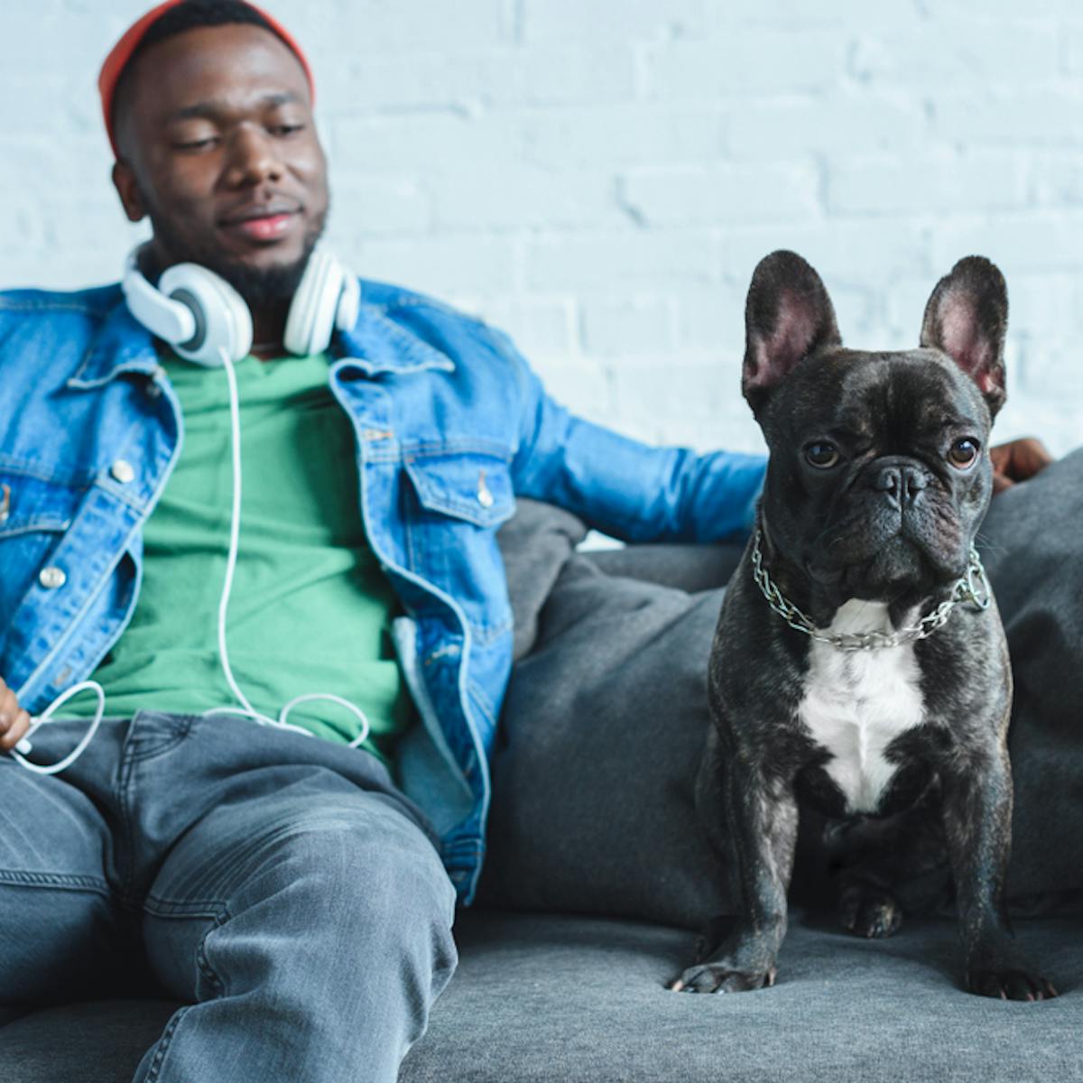 Can Cats And Dogs Understand Human Language can-cats-and-dogs-understand-human-language