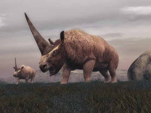 How a change in climate wiped out the 'Siberian unicorn'