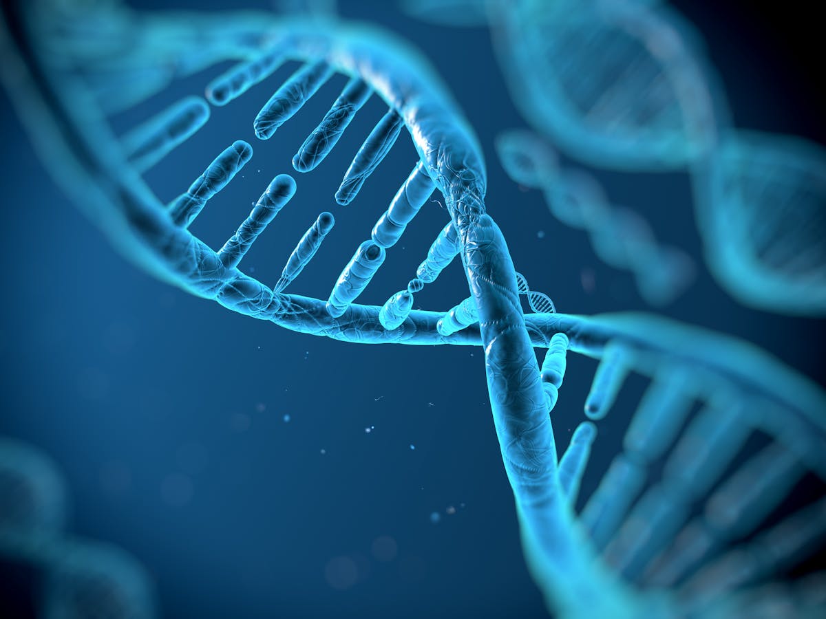 Innovative Dna Recovery Techniques Could Help Victims Catch Rapists In Kenya