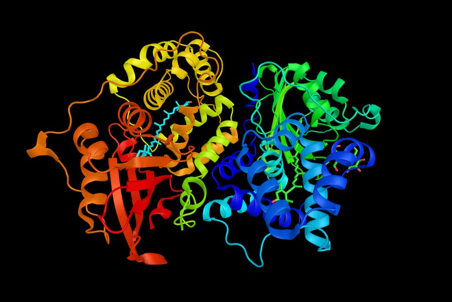Proteins reveal intricate details about life under the microscope