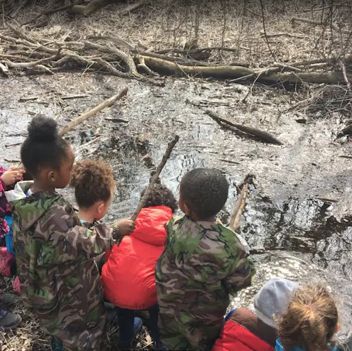 Wonder And Wisdom In A Children S Forest Nature Program
