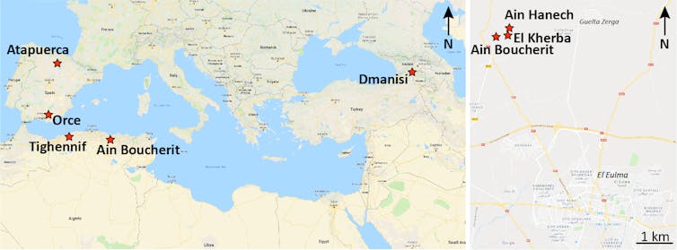 Stone tools date early humans in North Africa to 2.4 million years ago