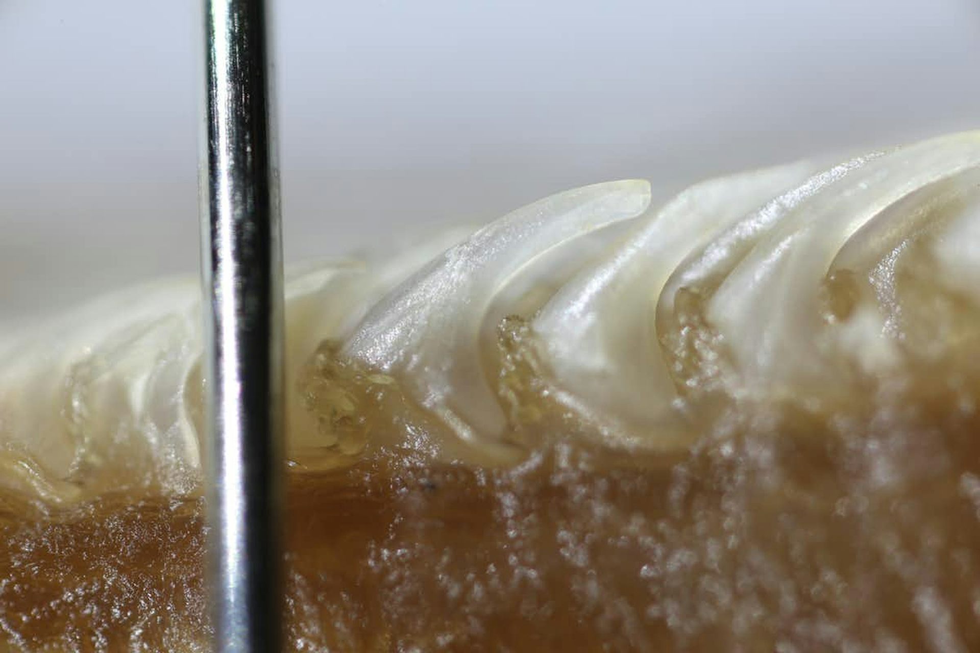 Minou Bien Au Frais Cette Langue Rapeuse Sert A Autre Chose Qu Au Toilettage