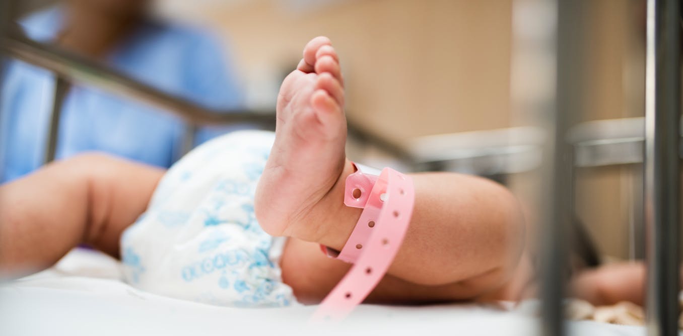 Que Savons Nous De Lulu Et Nana Les Premiers Bebes Crispr Que Savons Nous De Lulu Et Nana Les Premiers Bebes Crispr