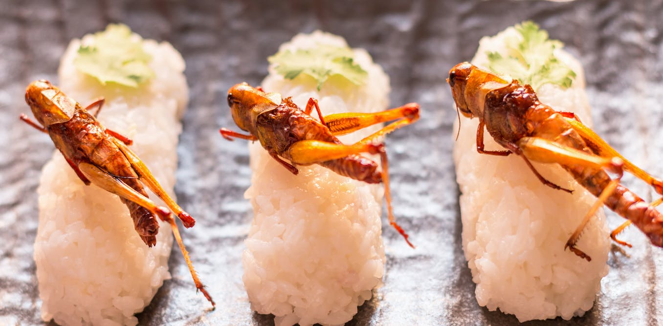 Fried, steamed or toasted: here are the best ways to cook insects