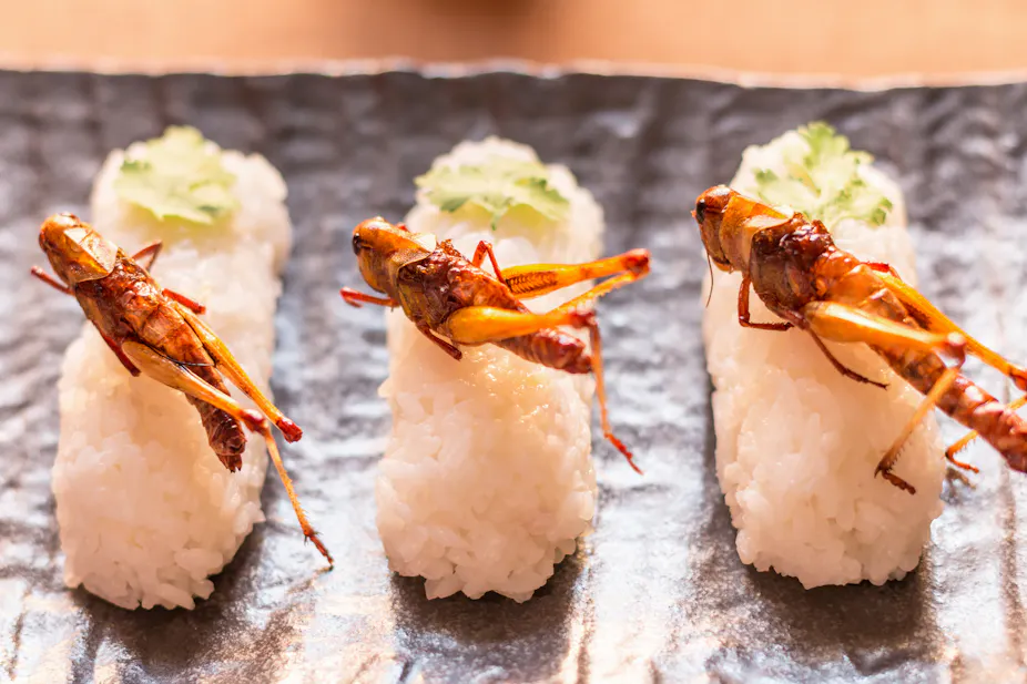 Grilled Insect Fried, steamed or toasted: here are the best ways to cook insects